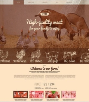 Thiết kế web bán sản phẩm nông nghiệp